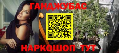 сатива Бузулук