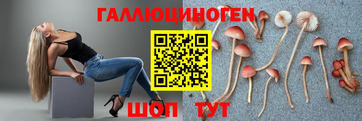 Галлюциногенные грибы Magic Shrooms  Псилоцибиновые грибы Psilocybine cubensis  Вход с VPN  даркнет сайт  Сургут 